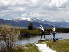 Help Preserve the Beauty of the Wilderness by Voting Via OptionFinder Wireless Keypads at the Idaho Wildlife Summit