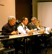 Town Meetings Use Council Voting Module